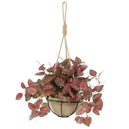 人工観葉植物 ヒポエステス43cm