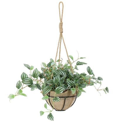 人工観葉植物 ペペロミア サンデルシー43cm