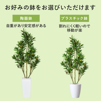 人工観葉植物 オリーブフルーツ