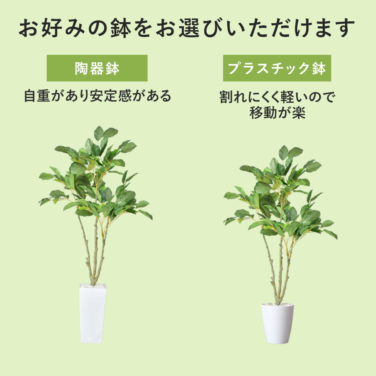 人工観葉植物 コーヒーツリー