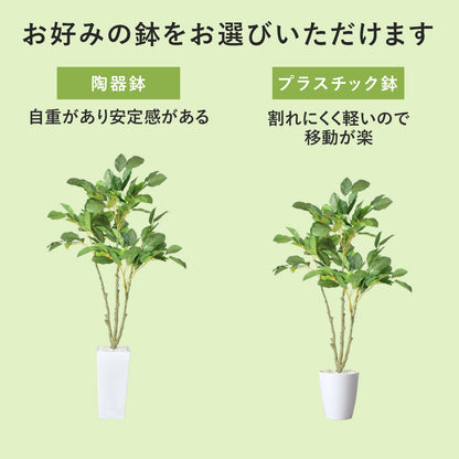 人工観葉植物 コーヒーツリー