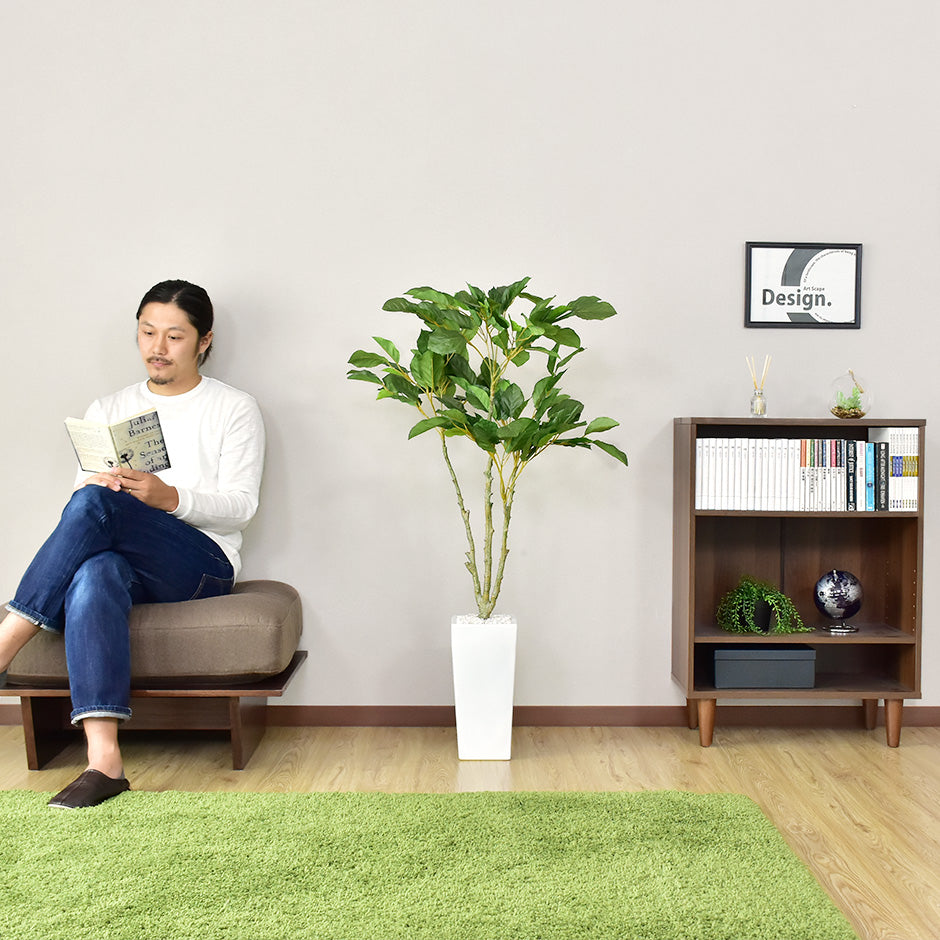 人工観葉植物 コーヒーツリー