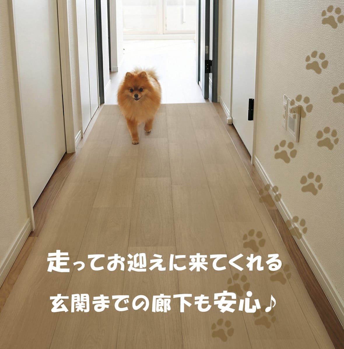ペット用ラグ【180×180/180×240/180×270㎝】
