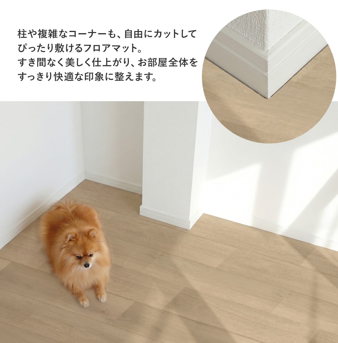 ペット用ラグ【180×180/180×240/180×270㎝】