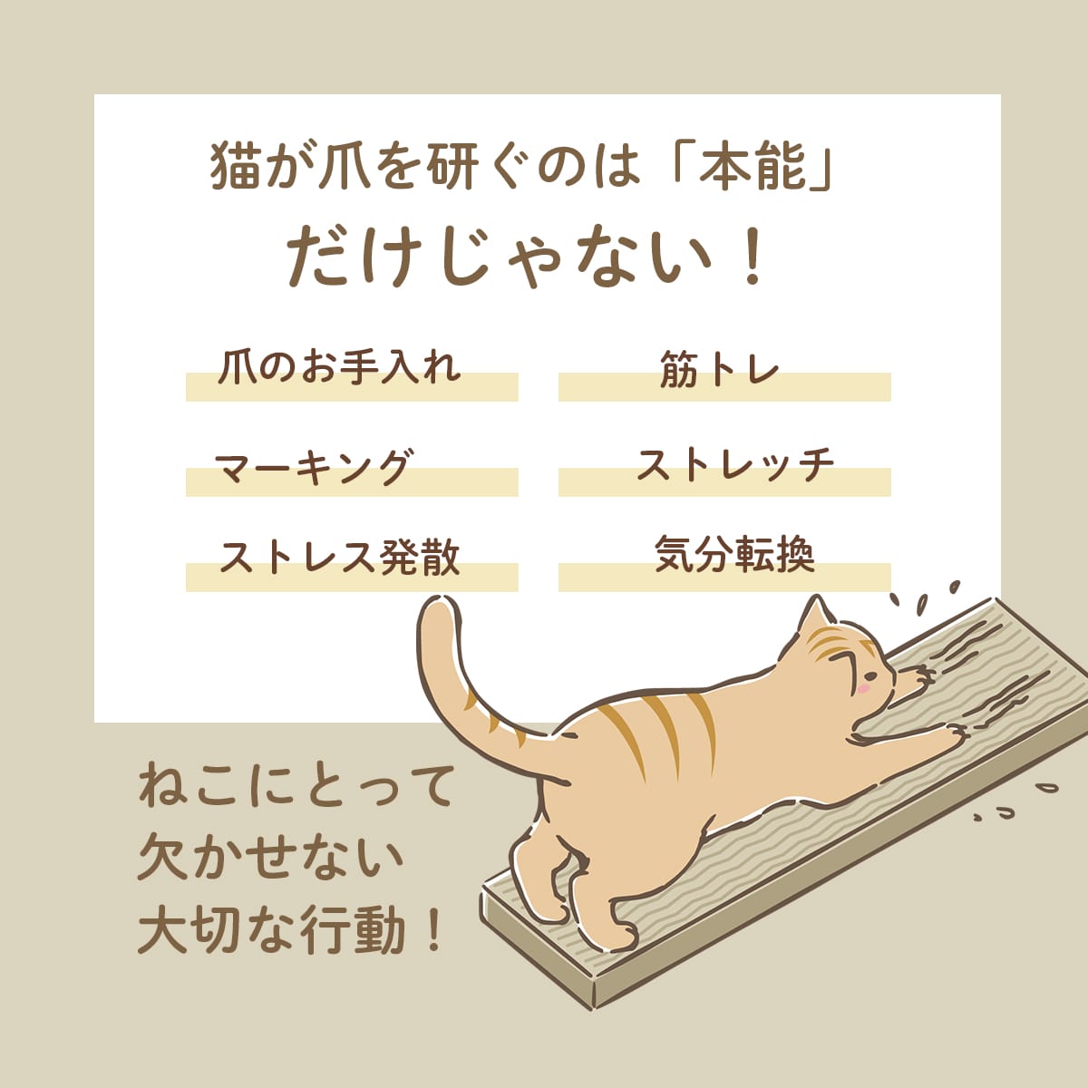 ベッド型爪研ぎクッション ガリぼろスター