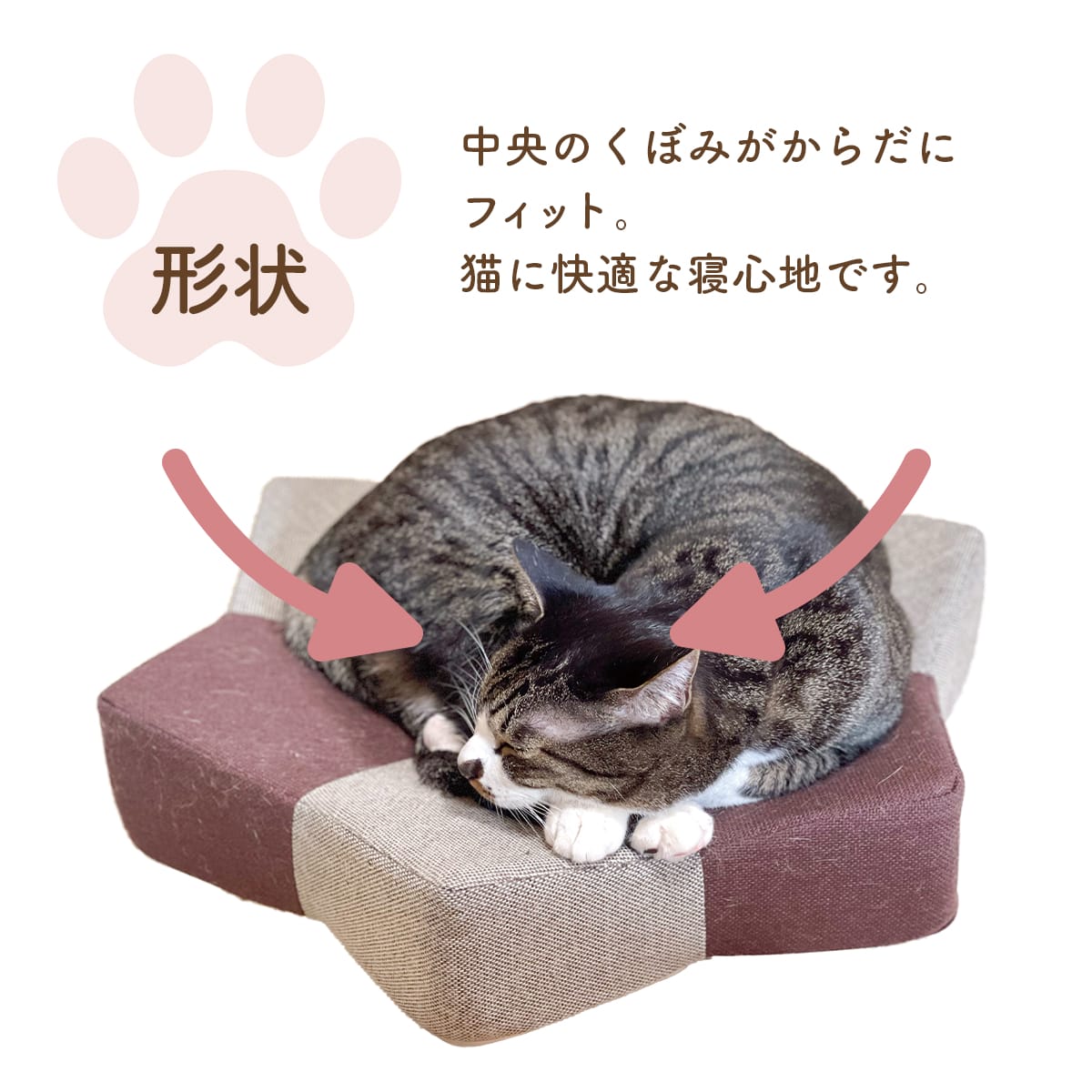 ベッド型爪研ぎクッション ガリぼろスター