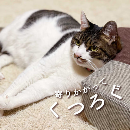 ベッド型爪研ぎクッション ガリぼろスター
