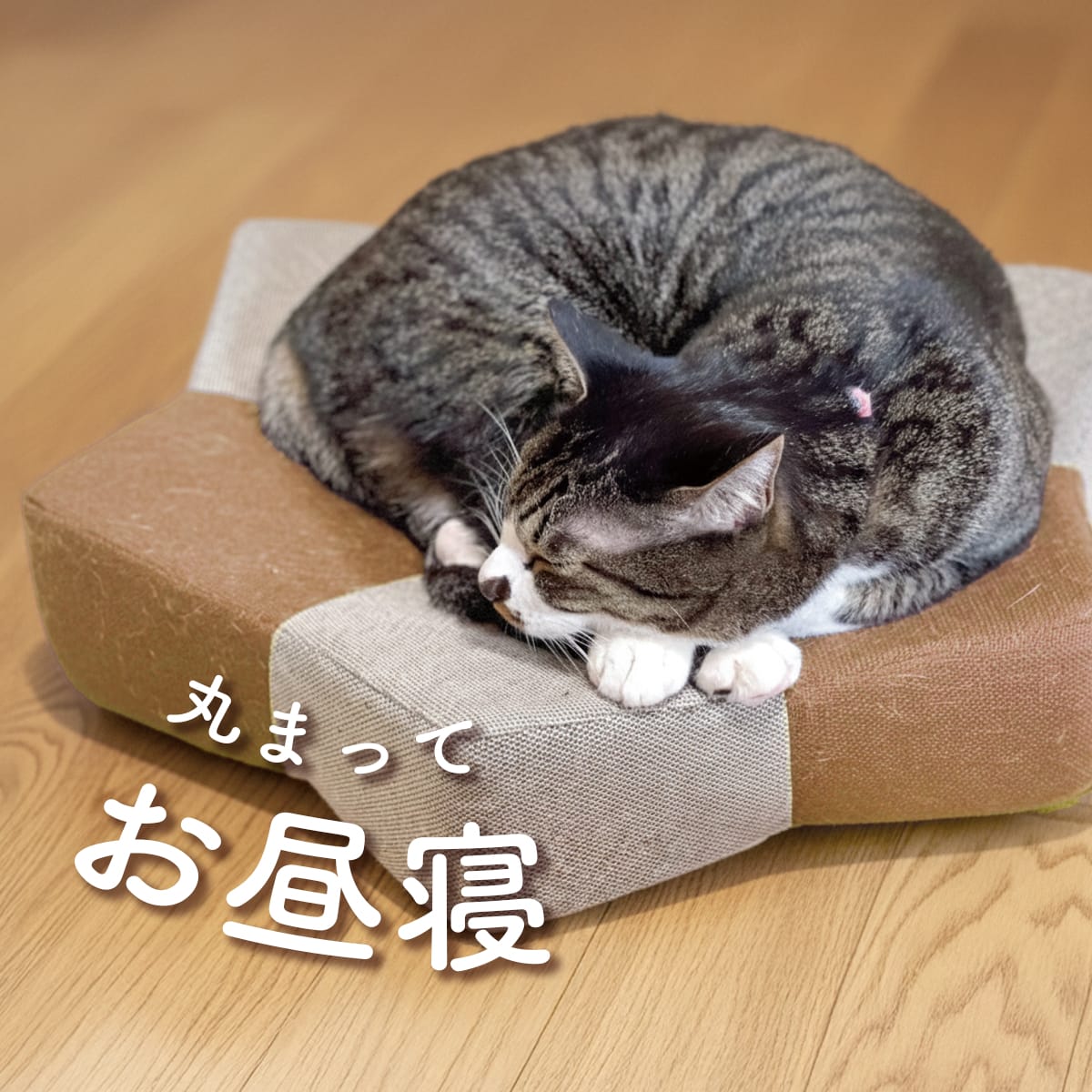 ベッド型爪研ぎクッション ガリぼろスター