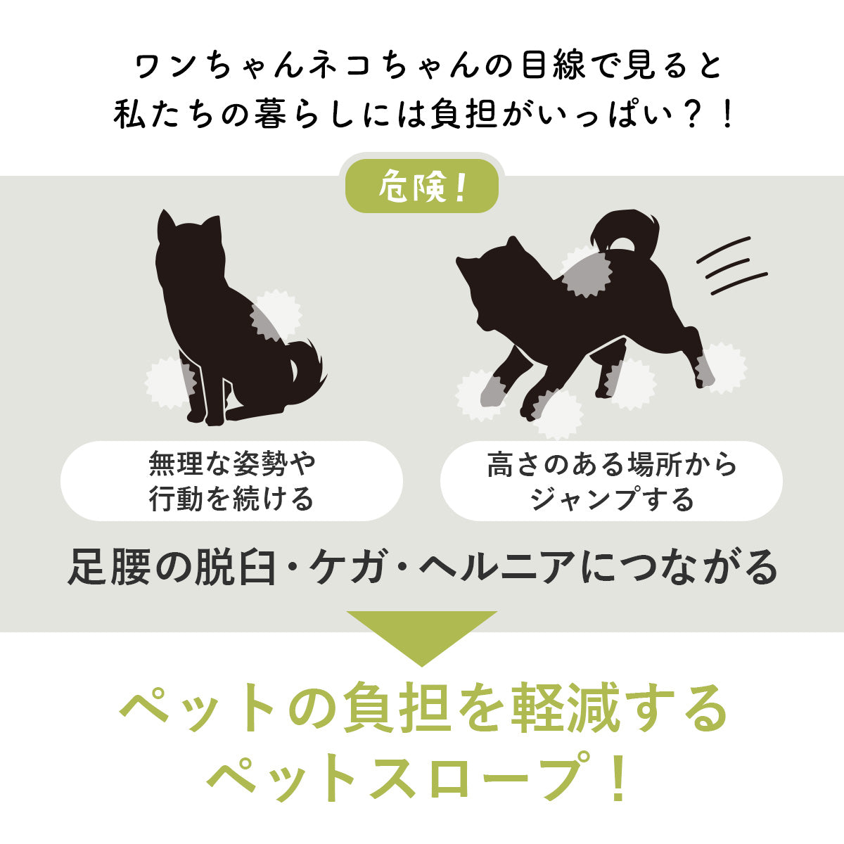 ペットステップ エギム
