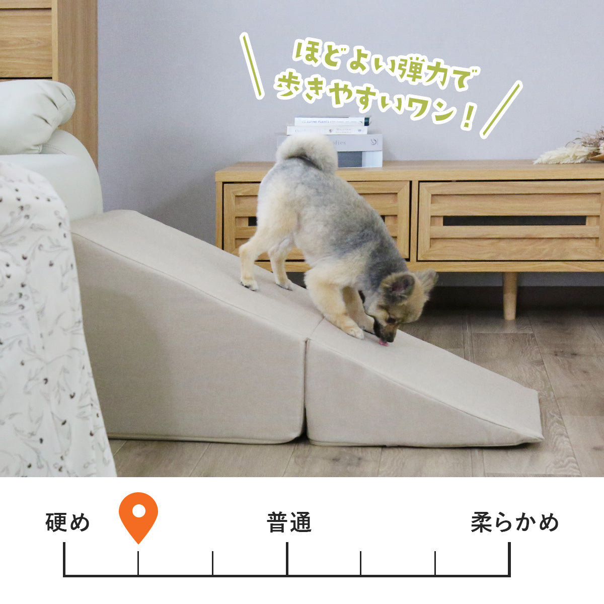 ペットステップ エギム