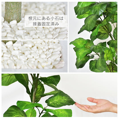 人工観葉植物 フィカス・ウンベラータ
