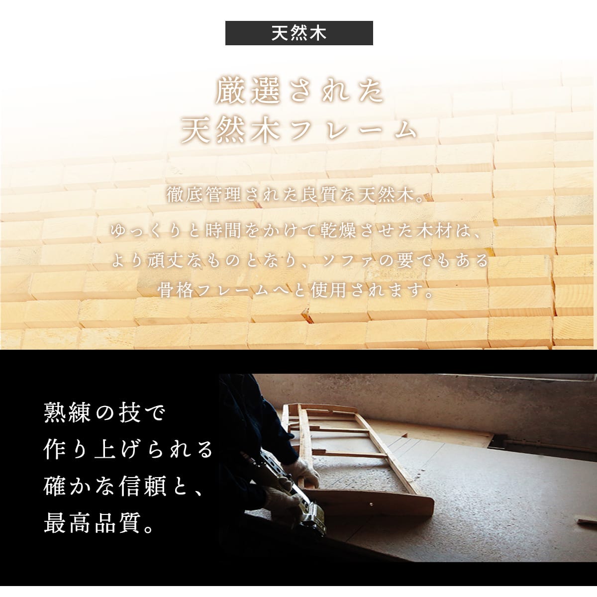2人掛けソファ  ジーノ2P