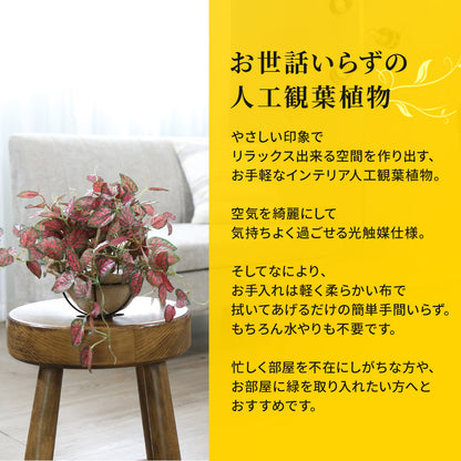 人工観葉植物 ヒポエステス43cm