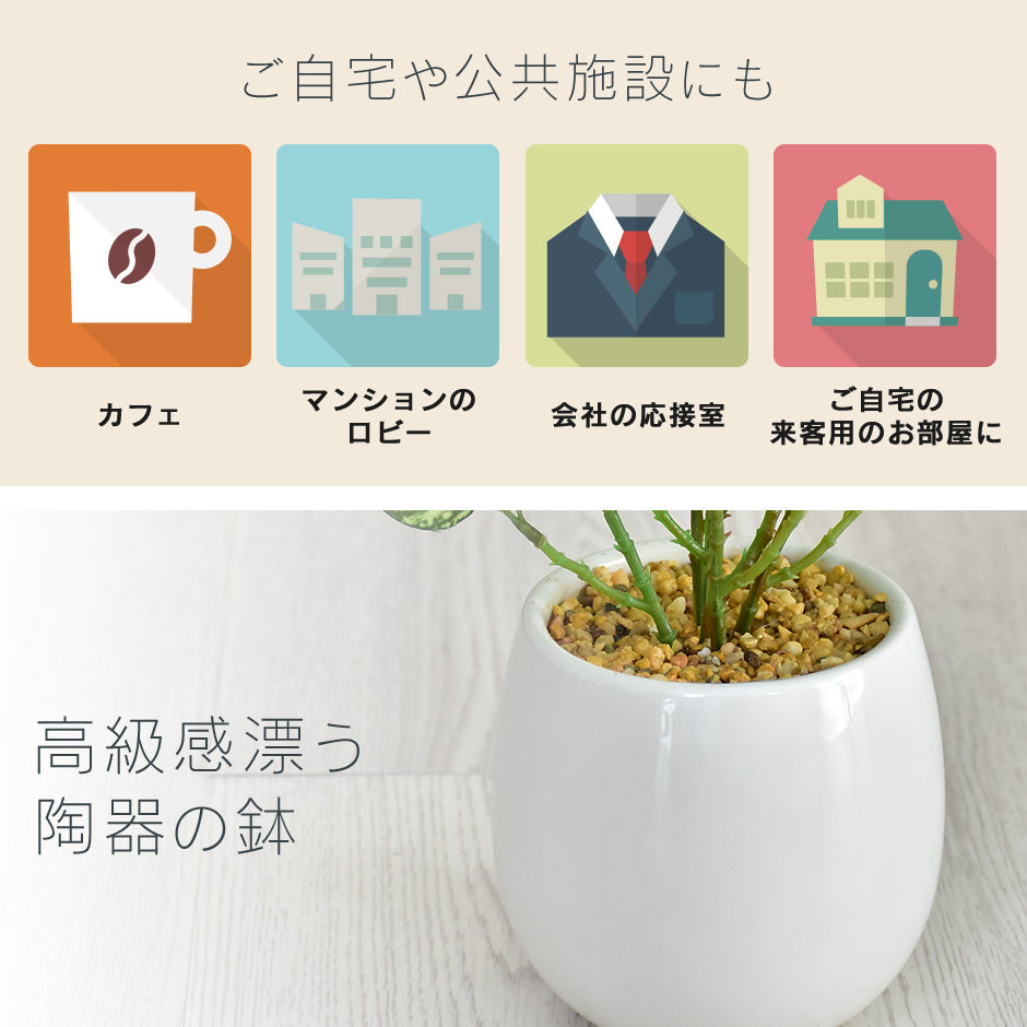 人工観葉植物 ヒポエステス