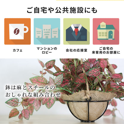 人工観葉植物 ヒポエステス43cm