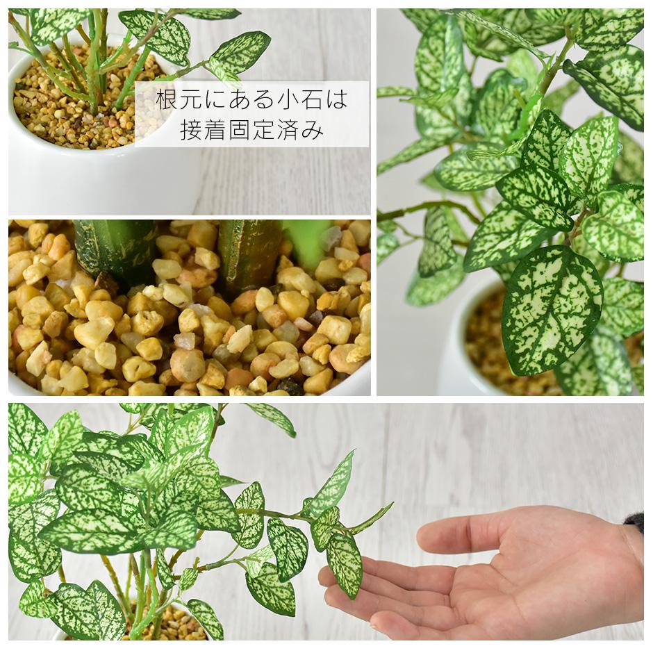 人工観葉植物 ヒポエステス