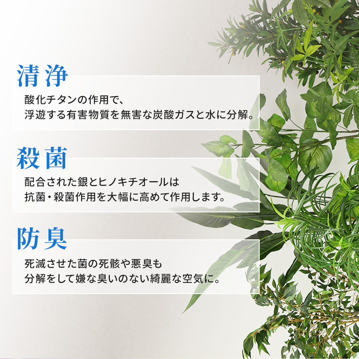 人工観葉植物 ヒポエステス43cm