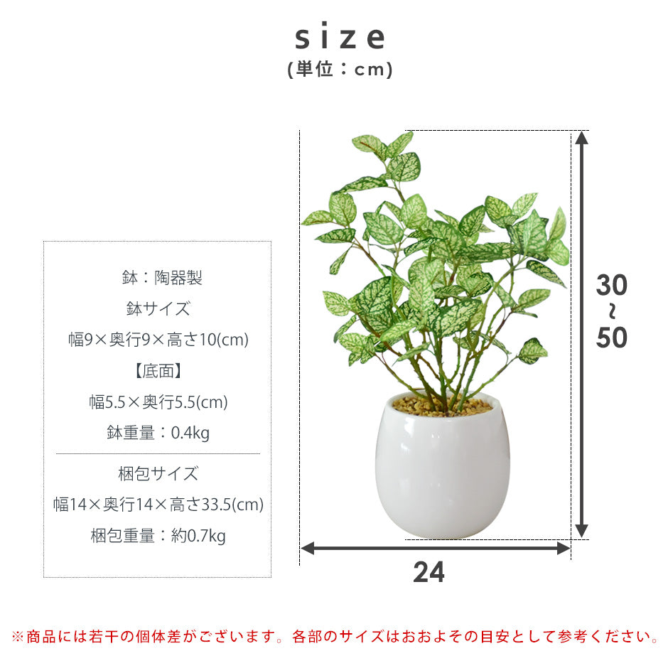 人工観葉植物 ヒポエステス