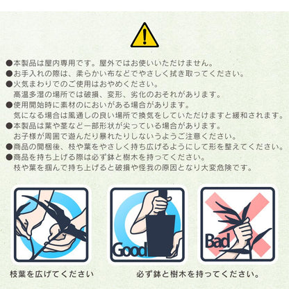 人工観葉植物 ヒポエステス