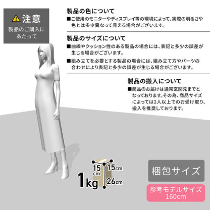 人工観葉植物 ヒポエステス43cm