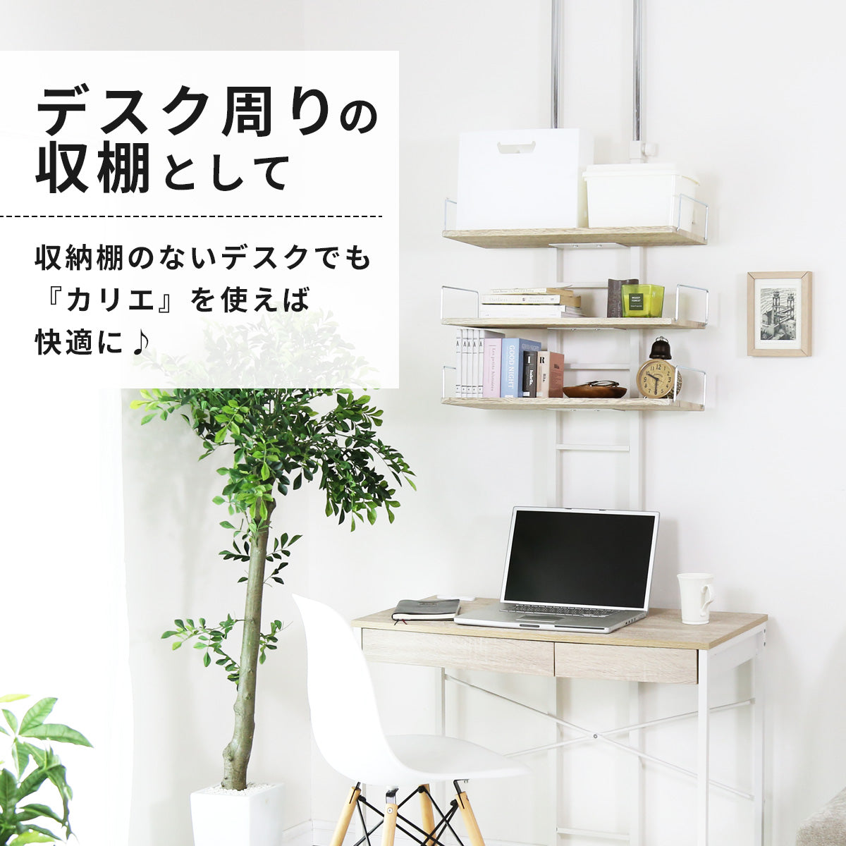 突っ張りラック  カリエ２