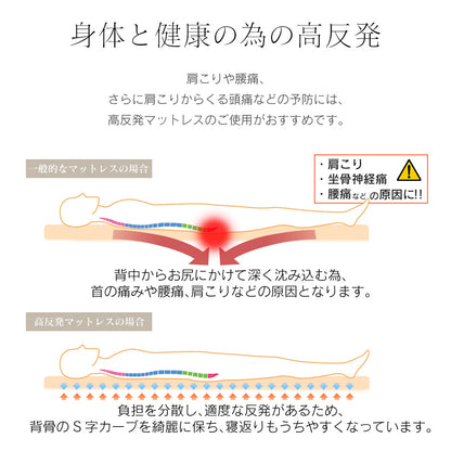 高反発バランスマットレス D