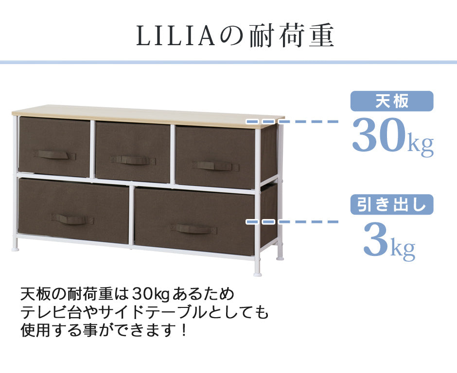 【幅100】布製チェスト2段  リリア