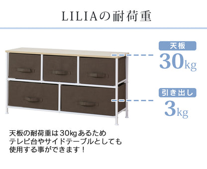 【幅100】布製チェスト2段  リリア
