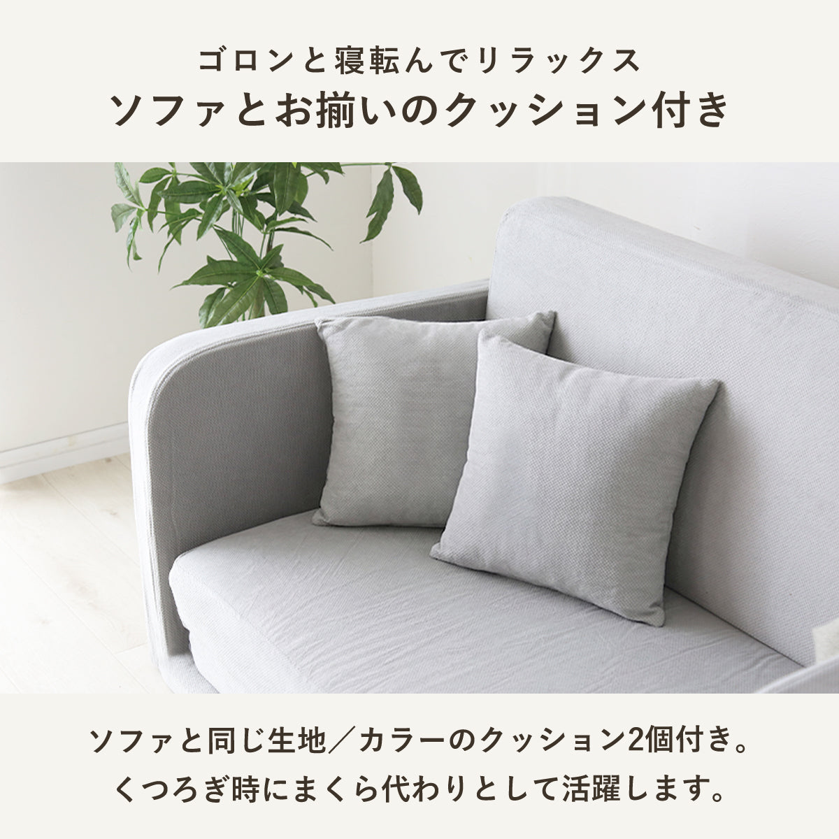 【2人掛け】ソファーベッド リーヴル