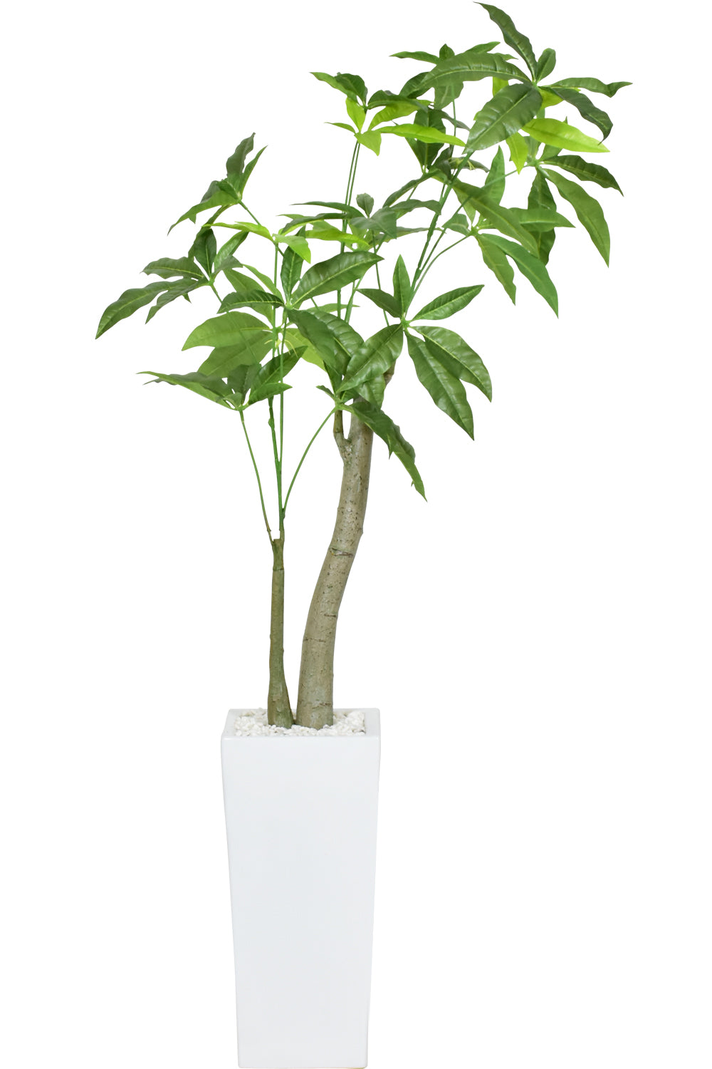 人工観葉植物 パキラ