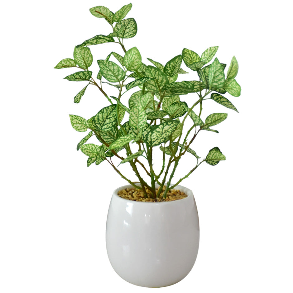 人工観葉植物 ヒポエステス