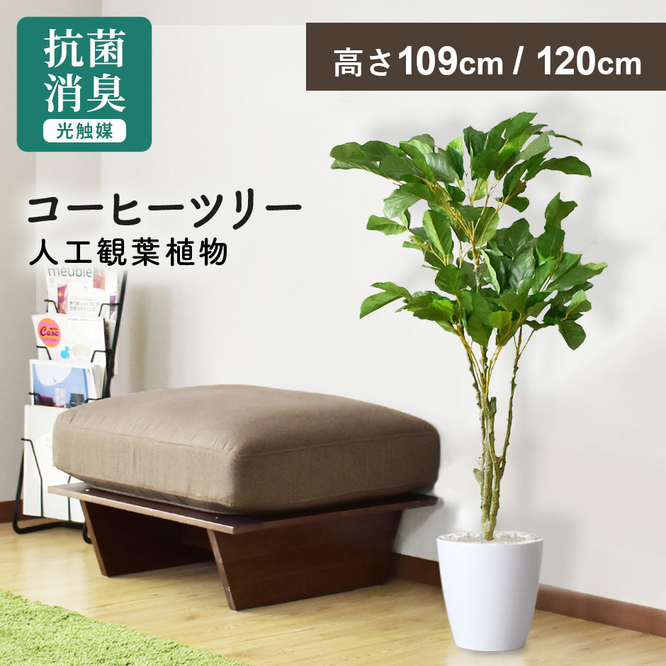 人工観葉植物 コーヒーツリー