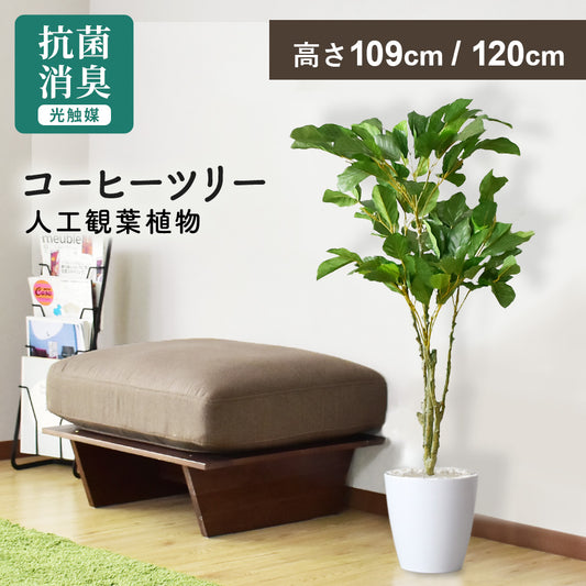 人工観葉植物 コーヒーツリー