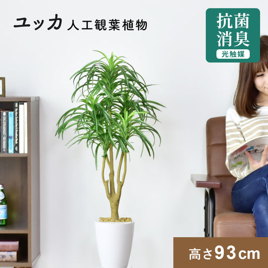 人工観葉植物 ユッカ