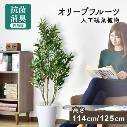 人工観葉植物 オリーブフルーツ