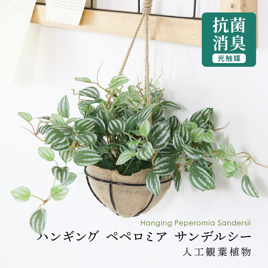 人工観葉植物 ペペロミア サンデルシー43cm