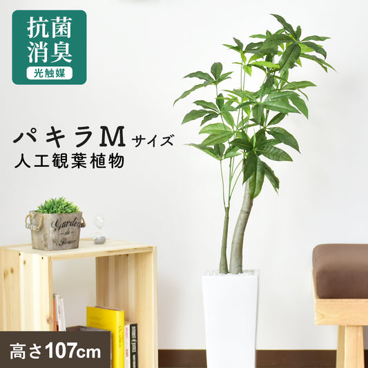 人工観葉植物 パキラ