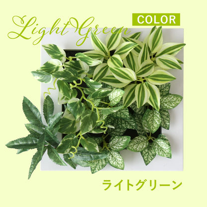 観葉植物【正方形】マイロ