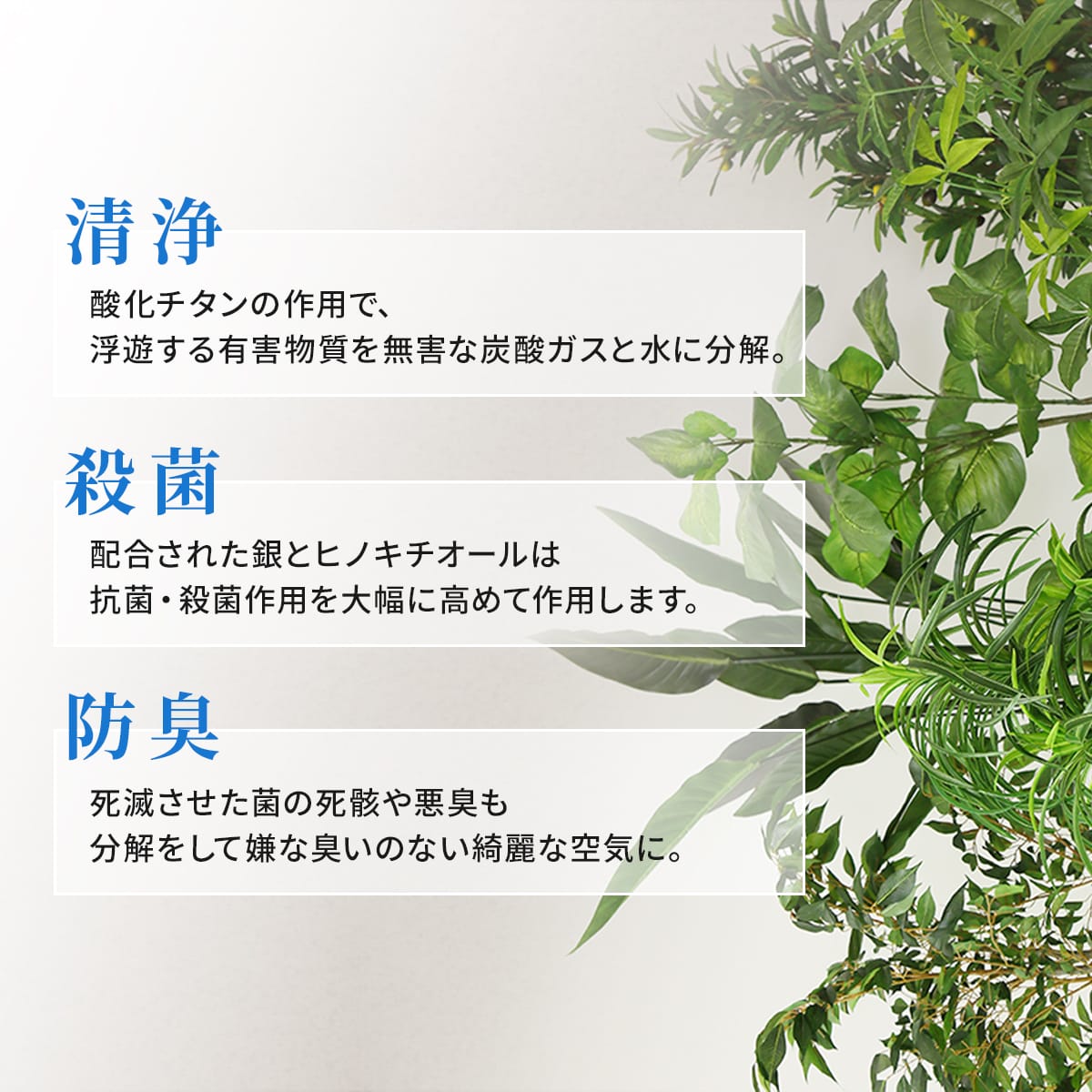 観葉植物【正方形】マイロ