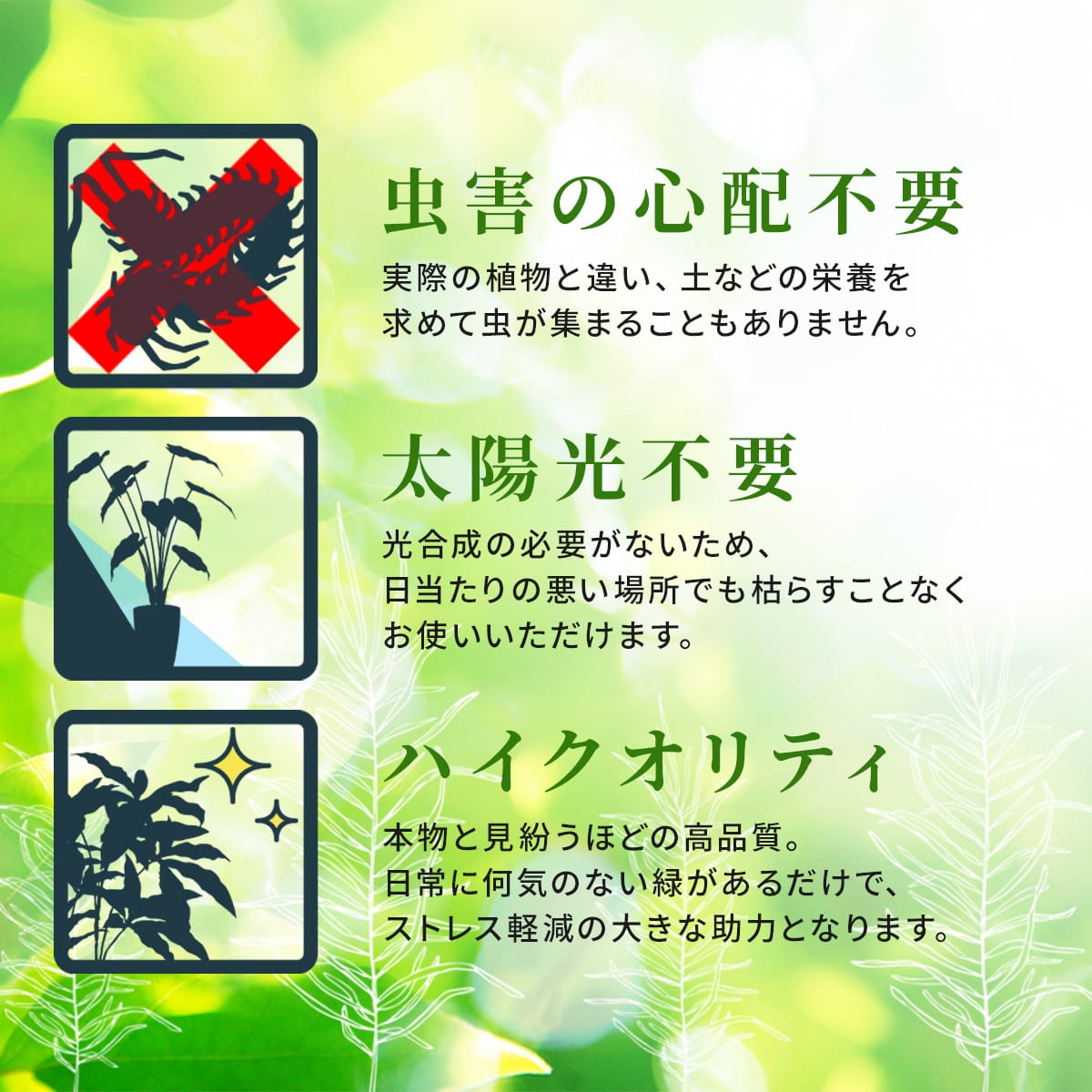 観葉植物【正方形】マイロ