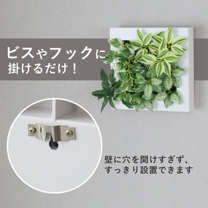 観葉植物【正方形】マイロ
