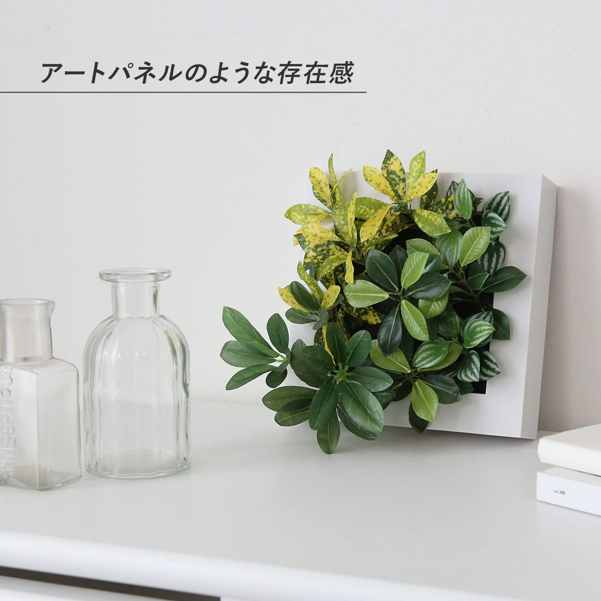 観葉植物【正方形】マイロ