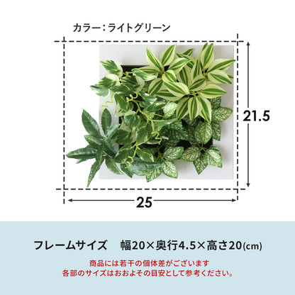 観葉植物【正方形】マイロ
