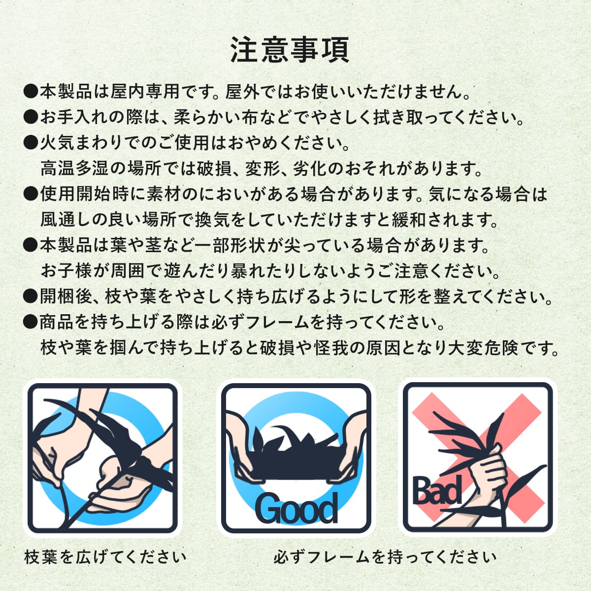 観葉植物【正方形】マイロ