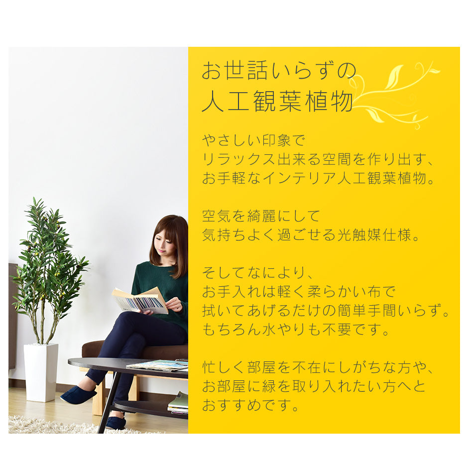 人工観葉植物 オリーブフルーツ