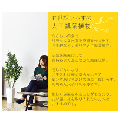 人工観葉植物 オリーブフルーツ