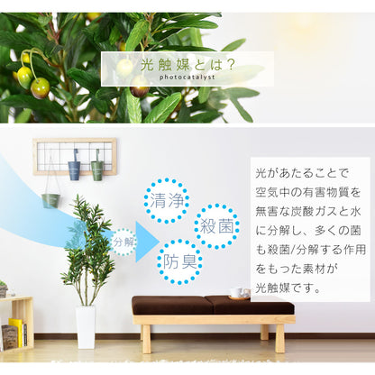 人工観葉植物 オリーブフルーツ