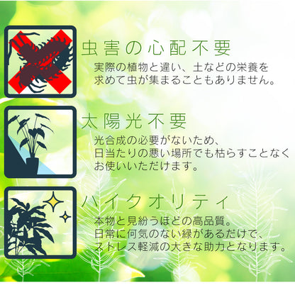 人工観葉植物 オリーブフルーツ