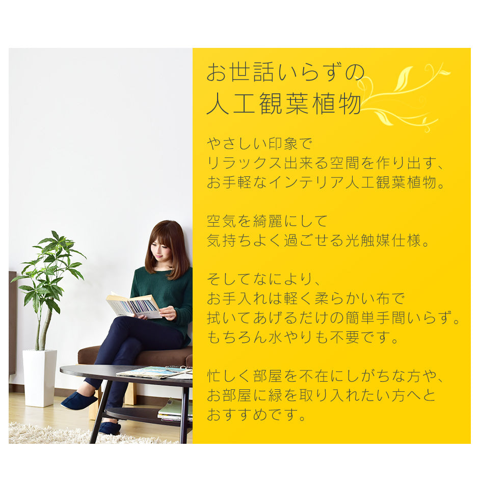 人工観葉植物 パキラ