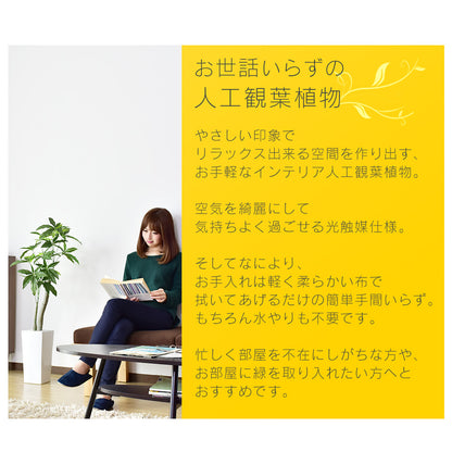 人工観葉植物 パキラ